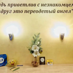 Гостиница Мини-отель Идиллия в Великих Луках 9 отзывов об отеле, цены и фото номеров - забронировать гостиницу Мини-отель Идиллия онлайн Великие Луки интерьер отеля фото 3