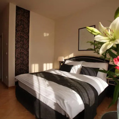 Hotel Elysee 4* Стандартный номер с различными типами кроватей фото 9