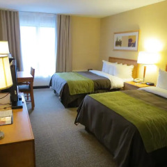 Отель Comfort Inn Dartmouth комната для гостей фото 3