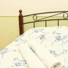 Olive Hostel Стандартный номер с различными типами кроватей фото 3