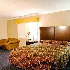 Отель Motel 6 Van Nuys 2* Студия фото 3