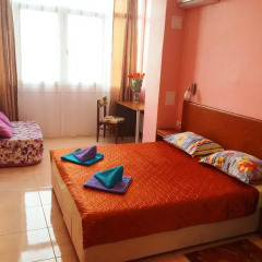 Гостиница Svetlana Apartment в Сочи отзывы, цены и фото номеров - забронировать гостиницу Svetlana Apartment онлайн комната для гостей фото 2