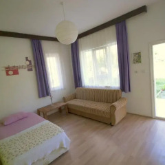 Гостевой Дом Dionysos Lodge Стандартный номер с разными типами кроватей фото 6
