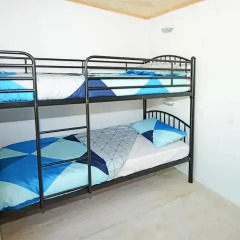 Отель Matamata Backpackers Кровать в общем номере с двухъярусной кроватью