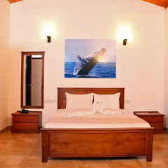 Roy Villa Beach Hotel комната для гостей фото 3