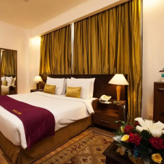 Goodwill Hotel Delhi комната для гостей