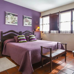 Hotel La Boriza 3* Стандартный номер с различными типами кроватей фото 18