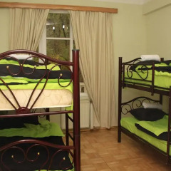 Отель Violet Hostel Грузия, Тбилиси - 1 отзыв об отеле, цены и фото номеров - забронировать отель Violet Hostel онлайн детские мероприятия фото 2