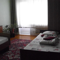 Гостиница Homestay Gagarina 17 Стандартный номер разные типы кроватей фото 7