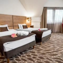 Rubin Wellness & Conference Hotel комната для гостей фото 3
