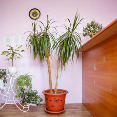 Mini-hotel Istok спа