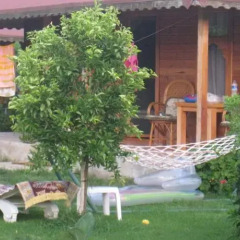 Отель Cirali Almira Bungalow бассейн