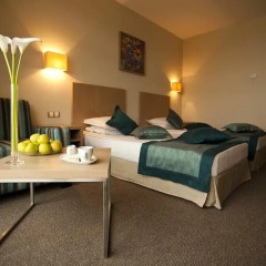 Azalia Hotel Balneo & SPA 4* Стандартный номер с различными типами кроватей