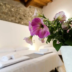 Отель Agriturismo La Torretta da Valentina Сольферино фото 6