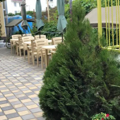 Гостиница Guest House Vinogradnaya 4 в Анапе отзывы, цены и фото номеров - забронировать гостиницу Guest House Vinogradnaya 4 онлайн Анапа помещение для мероприятий