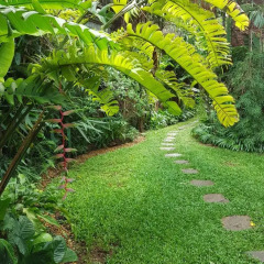 Отель Highbury Colombo Шри-Ланка, Коломбо - отзывы, цены и фото номеров - забронировать отель Highbury Colombo онлайн фото 7