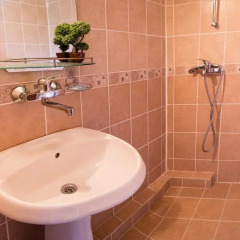 Отель Guest House Saint Dimitar Болгария, Боровец - отзывы, цены и фото номеров - забронировать отель Guest House Saint Dimitar онлайн ванная