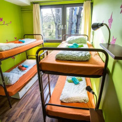 Island Hostel Adults only Кровать в общем номере фото 12