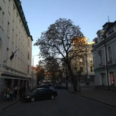 Апартаменты Reval Premium Apartment Таллин фото 7