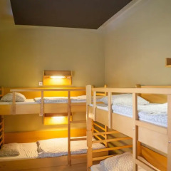 Treestyle Hostel Стандартный номер фото 3