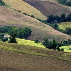 Отель Agriturismo Il Gelso Antico Италия, Реканати - отзывы, цены и фото номеров - забронировать отель Agriturismo Il Gelso Antico онлайн фото 10