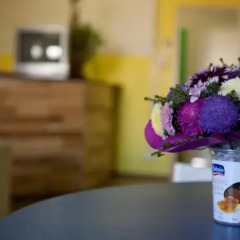 Party Train Hostel интерьер отеля фото 3