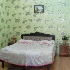 Отель Guest House Nikala Грузия, Тбилиси - отзывы, цены и фото номеров - забронировать отель Guest House Nikala онлайн комната для гостей фото 4