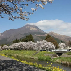 Yufuin Sanso Waremokou Hotel Хидзи фото 4