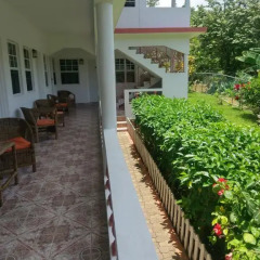 Отель Polish Princess Guest House Ямайка, Порт Антонио - отзывы, цены и фото номеров - забронировать отель Polish Princess Guest House онлайн фото 12