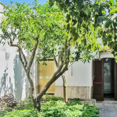 Отель Holiday Home Via Roma Дизо фото 12