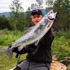 Отель Målselv Fjellandsby