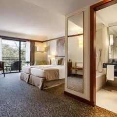 Terra Nostra Garden Hotel 4* Номер Делюкс с различными типами кроватей фото 4