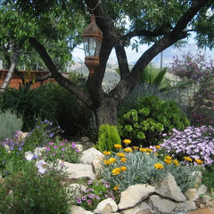 Отель B&B Villa Pico детские мероприятия
