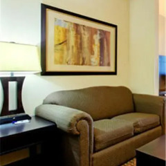 Holiday Inn Express Hotel & Suites Ozona 3* Стандартный номер фото 6