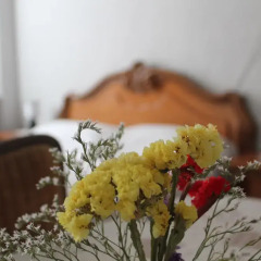 Отель Terra Nostra B&B интерьер отеля фото 3
