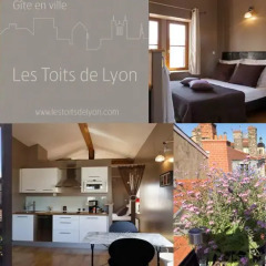 Отель Les Toits de Lyon Франция, Лион - отзывы, цены и фото номеров - забронировать отель Les Toits de Lyon онлайн питание