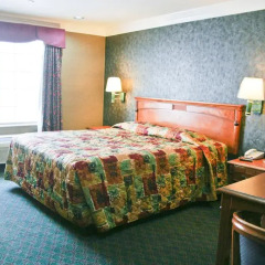 Отель Crystal Inn Suites & Spas 2* Стандартный номер с различными типами кроватей фото 14