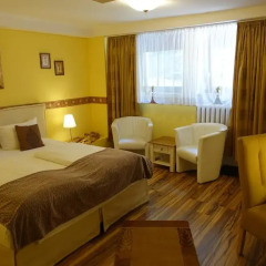 Hotel Villa Konstanz 3* Стандартный номер
