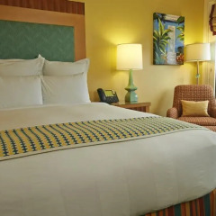 Отель Renaissance Curacao Resort & Casino 4* Стандартный номер с различными типами кроватей фото 3