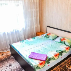 Гостиница Sashenka в Южной Озереевке отзывы, цены и фото номеров - забронировать гостиницу Sashenka онлайн Южная Озереевка комната для гостей фото 3