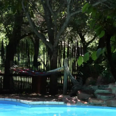 Отель Mashovhela Bush Lodge бассейн фото 3