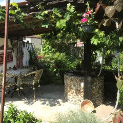 Отель House Gabri Болгария, Тырговиште - отзывы, цены и фото номеров - забронировать отель House Gabri онлайн фото 8