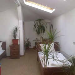 Отель Guest House Todorini kashti 2* Стандартный номер с различными типами кроватей фото 7