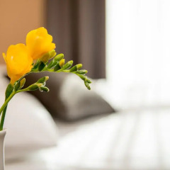 Hotel Cesis в номере