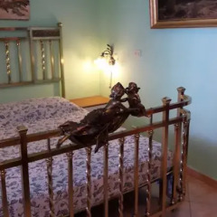 Отель B&B Le Amazzoni Лечче приотельная территория