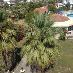Faliro Hotel балкон