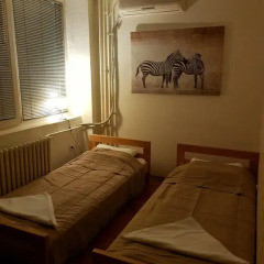 New Hostel Belgrade Стандартный номер с двуспальной кроватью (общая ванная комната) фото 5
