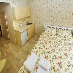 Mini Hotel on Yevreyskaya комната для гостей фото 2