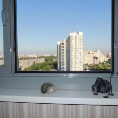 Гостиница On Prospekt Nauki в Санкт-Петербурге отзывы, цены и фото номеров - забронировать гостиницу On Prospekt Nauki онлайн Санкт-Петербург балкон