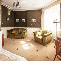 Grape Hotel 5* Стандартный номер с двуспальной кроватью фото 3